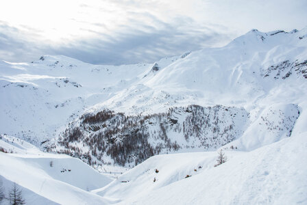 PRAPIC Cabanes de Terce le 1er février 2024, DSC_0141