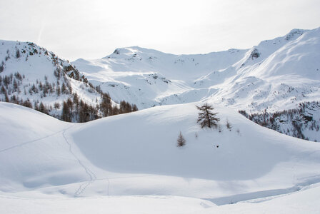 PRAPIC Cabanes de Terce le 1er février 2024, DSC_0167