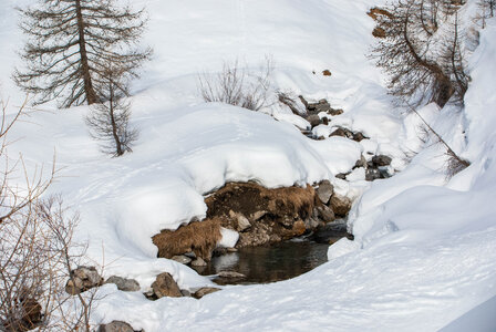 PRAPIC Cabanes de Terce le 1er février 2024, DSC_0179