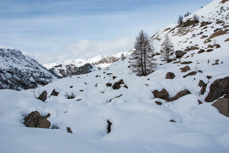 PRAPIC Cabanes de Terce le 1er février 2024, DSC_0189