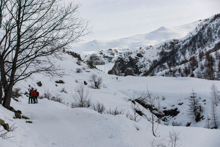 PRAPIC Cabanes de Terce le 1er février 2024, DSC_0193