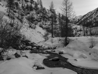 01-02-24_Prapic, _1094168