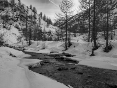 01-02-24_Prapic, _1094172