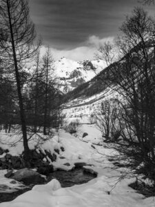 01-02-24_Prapic, _1094173