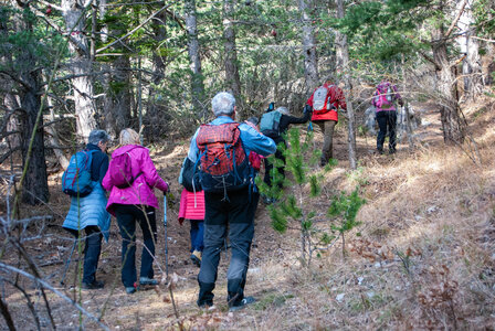Les Clots - Forest du Suret le 6 février 2024, DSC_0224