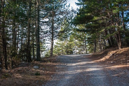Les Clots - Forest du Suret le 6 février 2024, DSC_0225