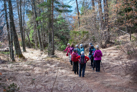 Les Clots - Forest du Suret le 6 février 2024, DSC_0273
