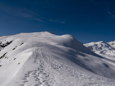 07.02.24_Jujal, _1094212
