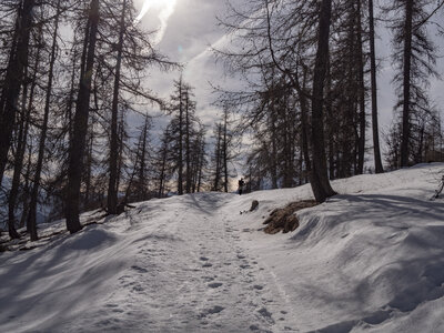 08-02-24_puy-st-vincent, _1094218