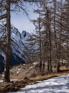 08-02-24_puy-st-vincent, _1094220