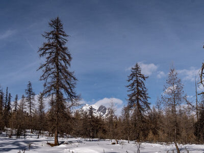 08-02-24_puy-st-vincent, _1094222
