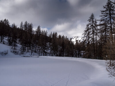 08-02-24_puy-st-vincent, _1094232