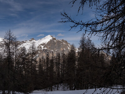 08-02-24_puy-st-vincent, _1094236