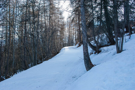 Puy-St-Vincent La tête d'Oréac le 08 février 2024, DSC_0010