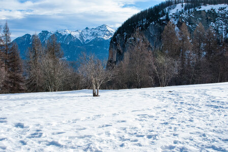Puy-St-Vincent La tête d'Oréac le 08 février 2024, DSC_0014