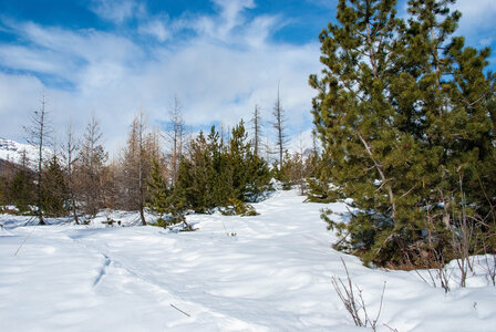 Puy-St-Vincent La tête d'Oréac le 08 février 2024, DSC_0018