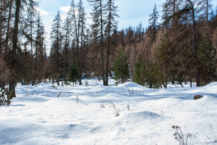 Puy-St-Vincent La tête d'Oréac le 08 février 2024, DSC_0023