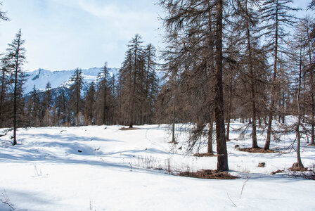 Puy-St-Vincent La tête d'Oréac le 08 février 2024, DSC_0037