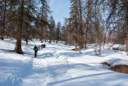 Puy-St-Vincent La tête d'Oréac le 08 février 2024, DSC_0039