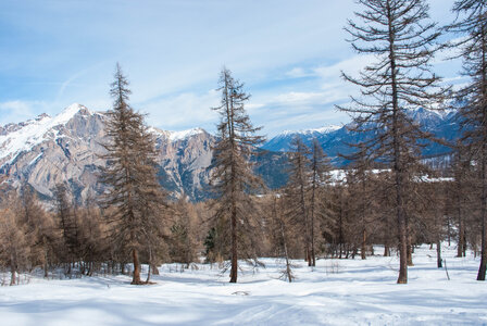 Puy-St-Vincent La tête d'Oréac le 08 février 2024, DSC_0045