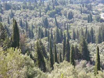 Ioniennes-2017, 997_Afionas_06