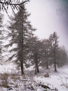 11-02-24_Barbeyroux, _1094244