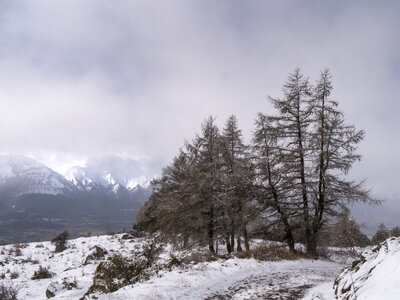 11-02-24_Barbeyroux, _1094248