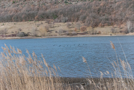 Tour du Lac de Mison 13022024, DSC_0008