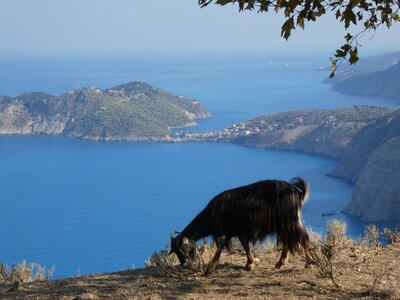 Ioniennes-2017, 977_Assos_02