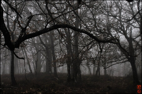 blogpix2, 5910acb9d19449c0