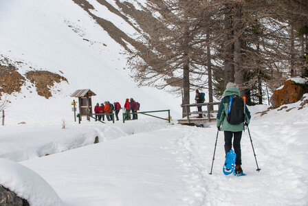 Chalets de Clapeyto au départ de Brunissard le 15 février 2024, DSC_0162