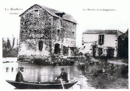 moulinsVendéeTest, La Bruffiere-Moulin de La GUINARDIERE-0