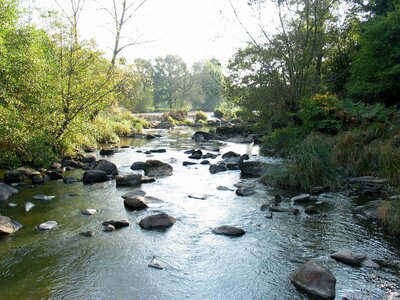 sèvre amont, sevre-amont-04--le_thouet01