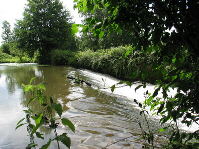 moulinsVendéeTest, choletais-04-moulinard5