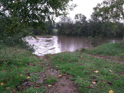 VTT en bord de loire du 20-10-2012 Notre dame du Marillais 49410, Ancenis 44150, allé retour 28km., DSCF0859