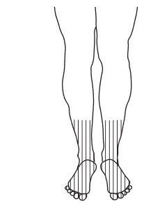 Mémoire, chevilles pieds
