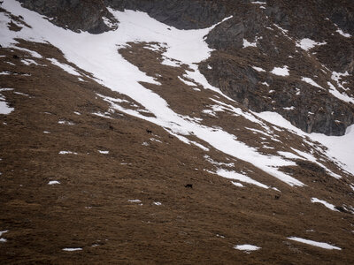 20-23-02-24_Valle-Maira, _1094383