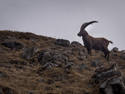 20-23-02-24_Valle-Maira, _1094390