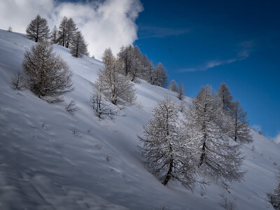 20-23-02-24_Valle-Maira, _1094421