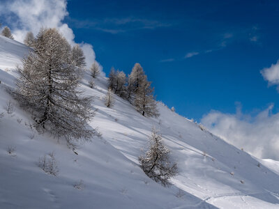 20-23-02-24_Valle-Maira, _1094424