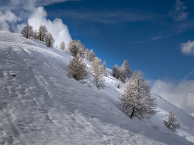 20-23-02-24_Valle-Maira, _1094425
