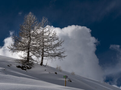 20-23-02-24_Valle-Maira, _1094428