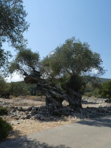 Ioniennes-2017, 948_Volimes_02