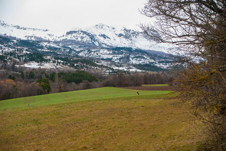 Tour au départ des Césaris, le Sahuchet etc... le 27022024, DSC_0007