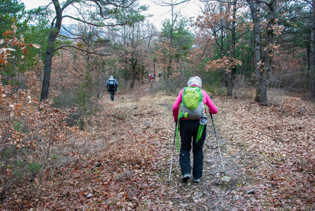 Tour au départ des Césaris, le Sahuchet etc... le 27022024, DSC_0027