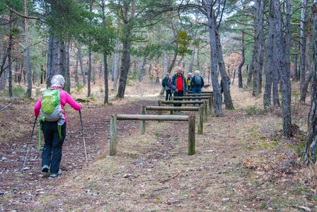 Tour au départ des Césaris, le Sahuchet etc... le 27022024, DSC_0030