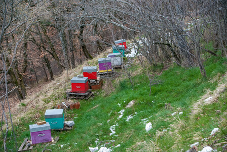 Tour au départ des Césaris, le Sahuchet etc... le 27022024, DSC_0032
