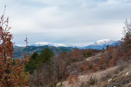 Tour au départ des Césaris, le Sahuchet etc... le 27022024, DSC_0034
