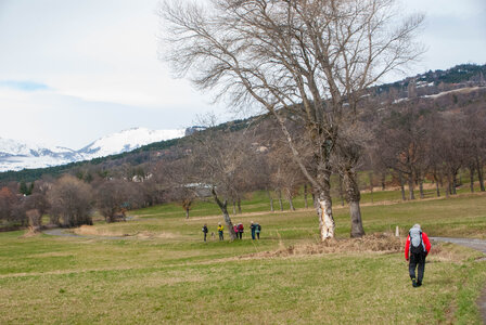 Tour au départ des Césaris, le Sahuchet etc... le 27022024, DSC_0049