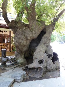 Crete-2015, 997_Fodele_02